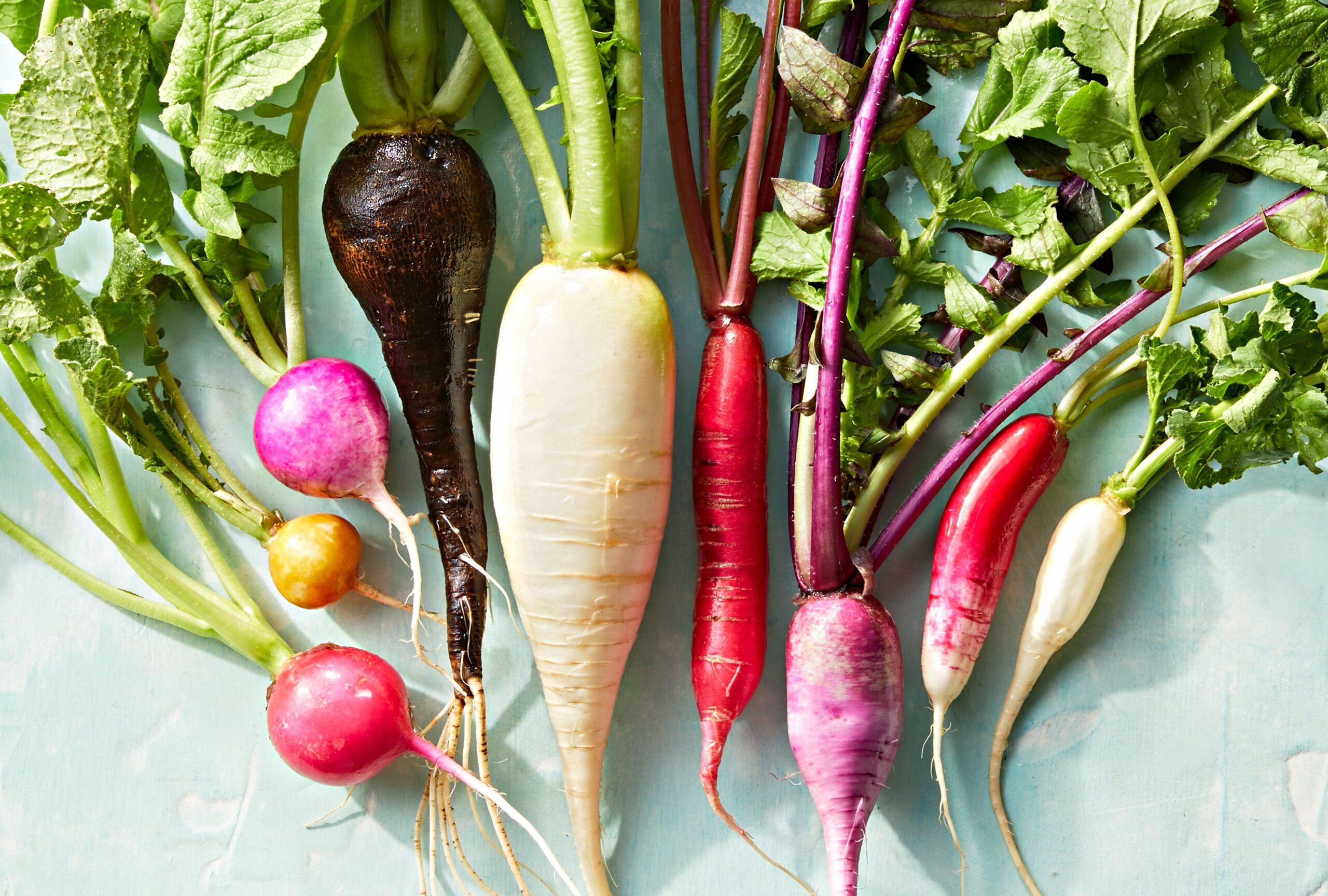 Unlocking the Health Benefits of Radishes